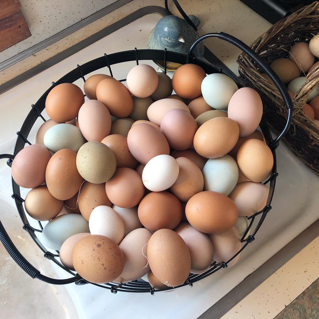 Hard Boiled Eggs with Farm Fresh Eggs