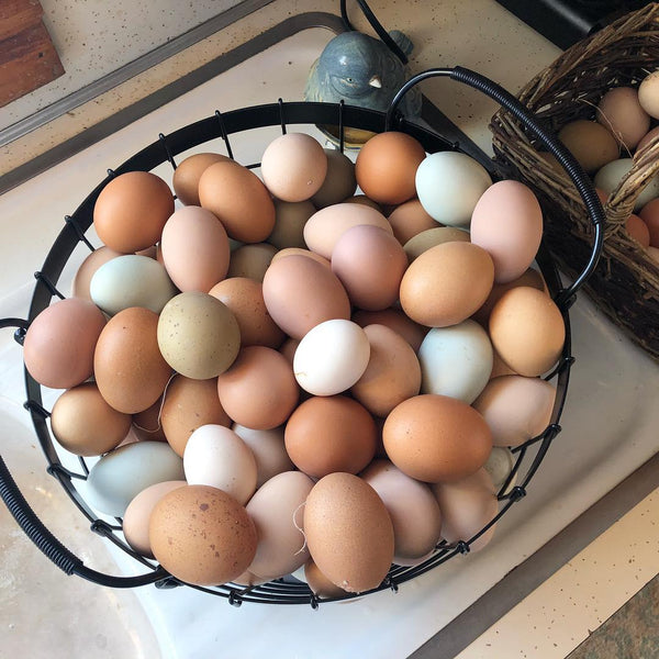 Hard Boiled Eggs with Farm Fresh Eggs