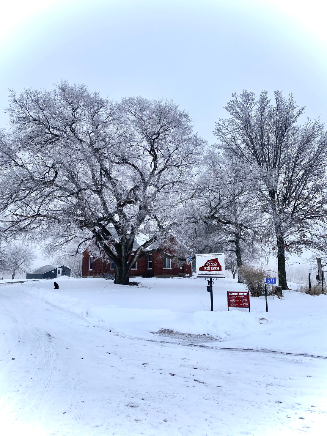 Winter Farm Update 2021
