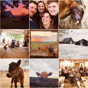 Happy 2020! The Little Red Farm 2019 Year in Review....