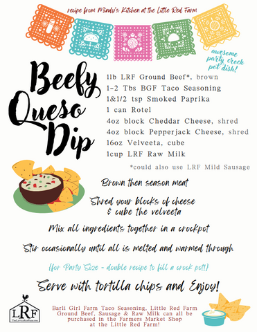 Beefy Queso Dip Recipe