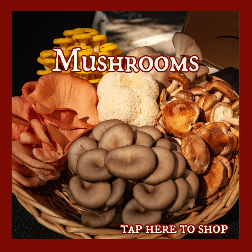 Mushrooms