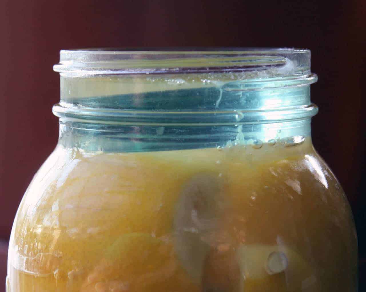 Canning & Fermenting