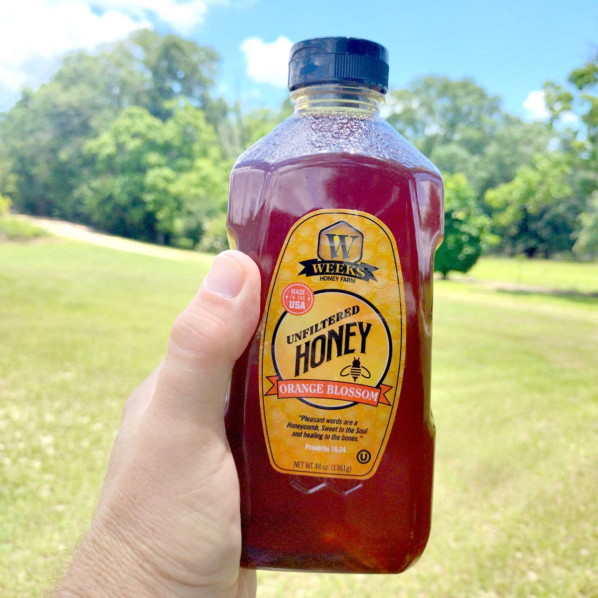 Raw Florida Orange Blossom Honey | Light Citrus-Floral Flavor