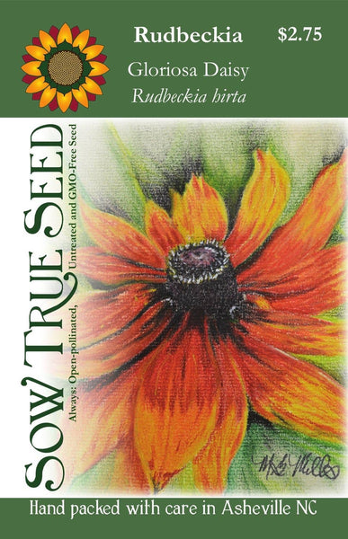 Rudbeckia Seeds - Gloriosa Daisy