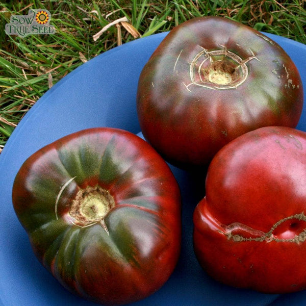 Slicing Tomato Seeds - Cherokee Purple, ORGANIC