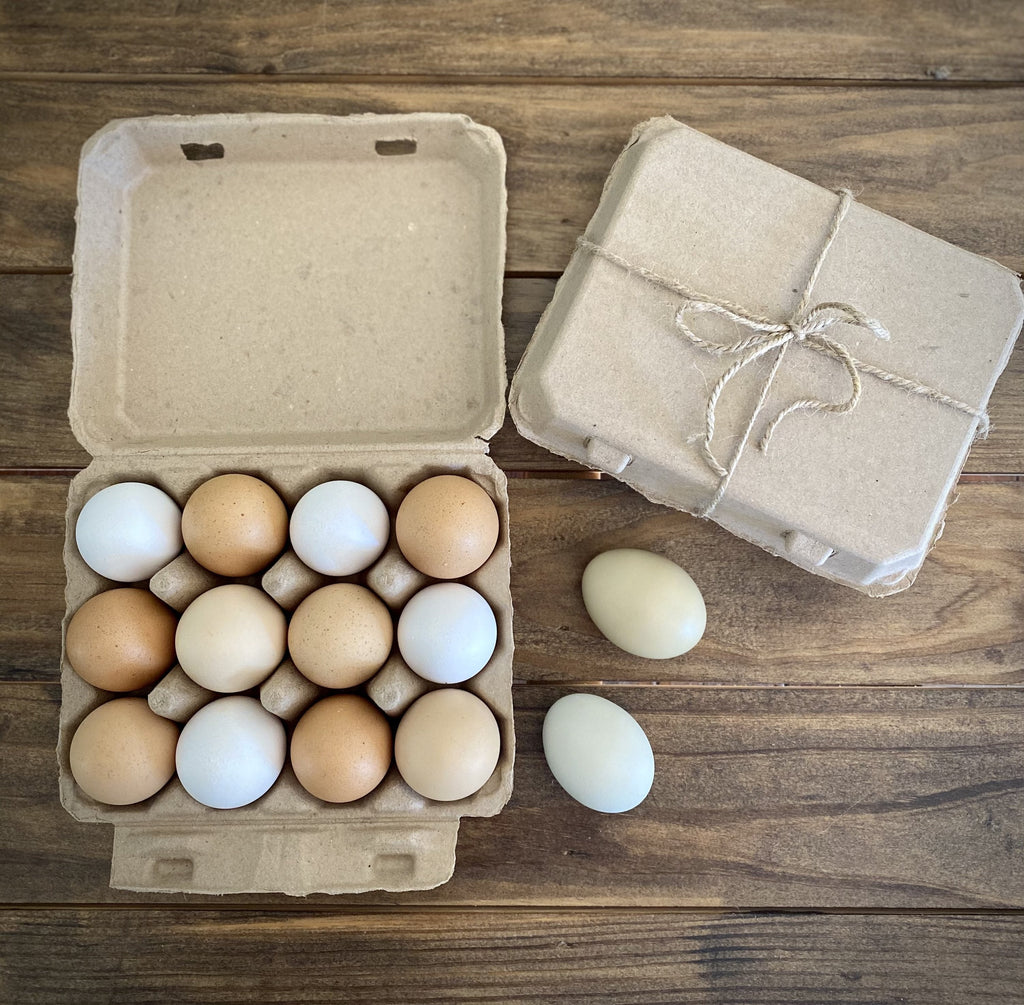 Henlay Vintage Blank Egg Cartons, Classic 3x4 Design, 2 Colors, 25, 65, 75, or 200 Pack