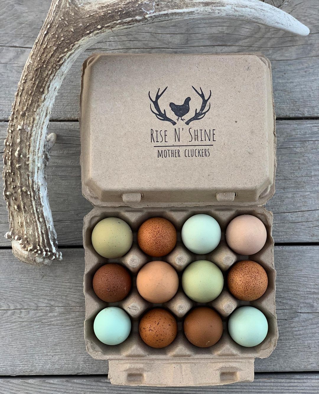 Henlay Vintage Blank Egg Cartons, Classic 3x4 Design, 2 Colors, 25, 65, 75, or 200 Pack