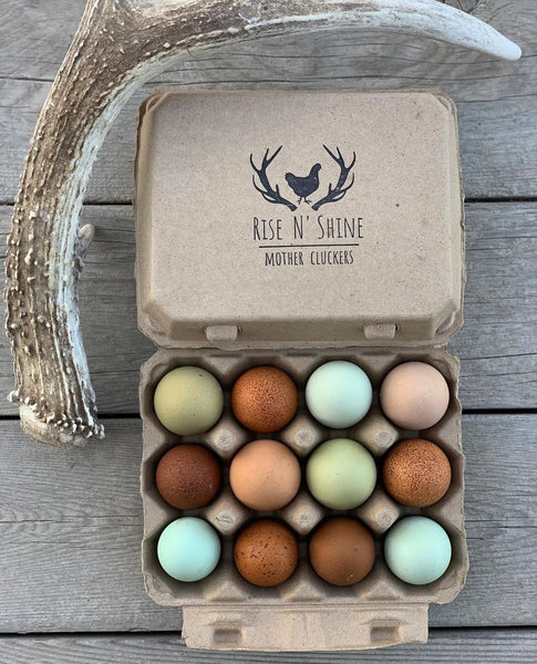 Henlay Vintage Blank Egg Cartons, Classic 3x4 Design, 2 Colors, 25, 65, 75, or 200 Pack