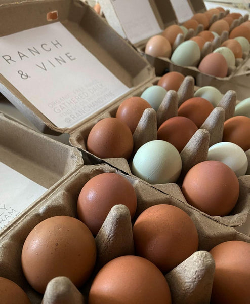 Henlay Vintage Blank Egg Cartons, Classic 3x4 Design, 2 Colors, 25, 65, 75, or 200 Pack