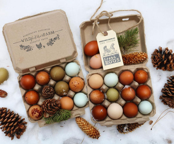 Henlay Vintage Blank Egg Cartons, Classic 3x4 Design, 2 Colors, 25, 65, 75, or 200 Pack