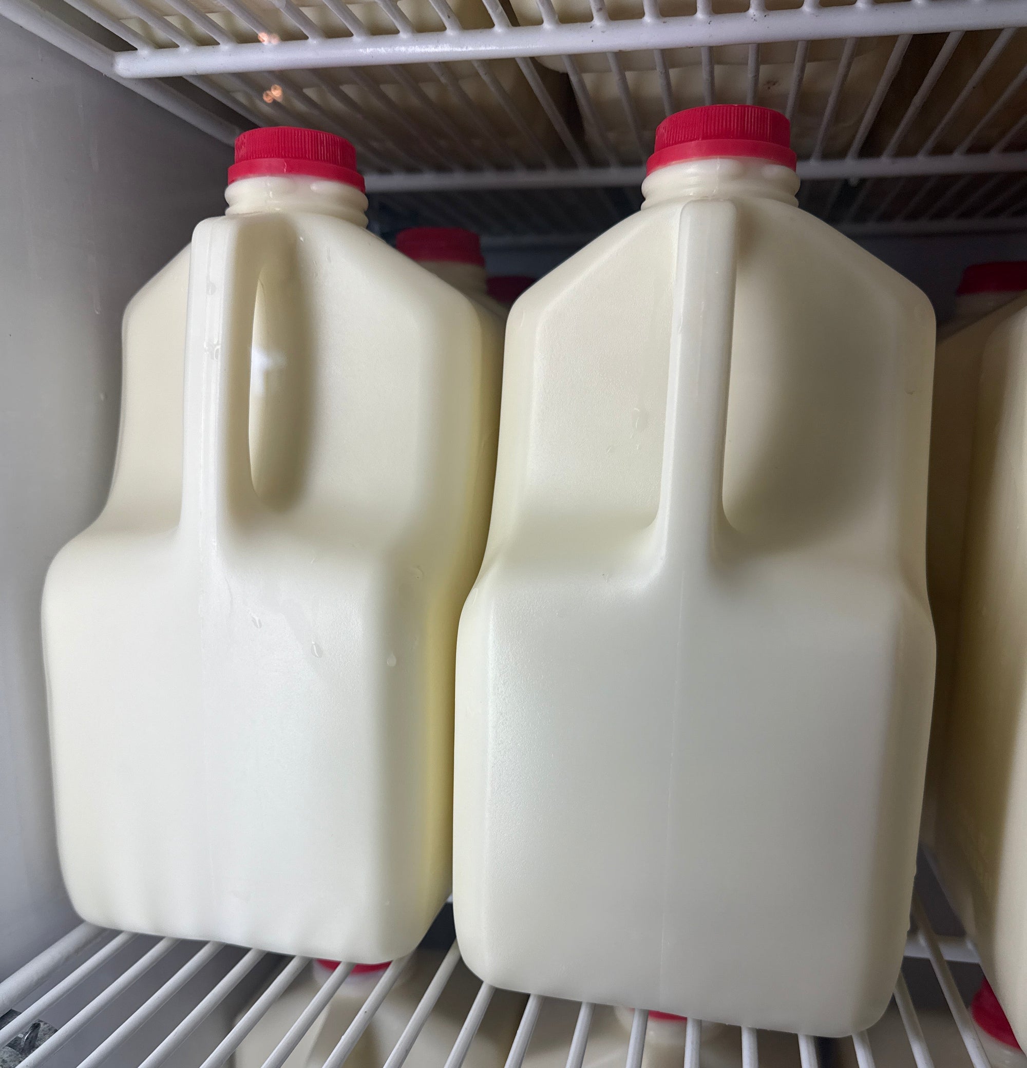 Gallon A2 Raw Milk