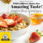 Our Best All-Natural Pure Raw Gallberry Honey | Weeks Honey Farm