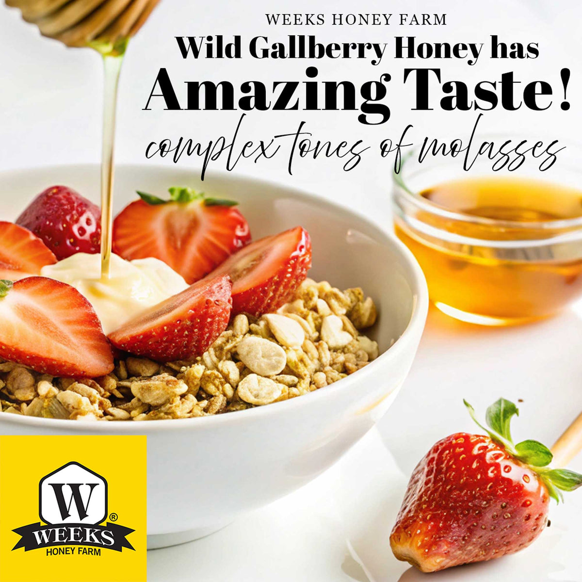 Our Best All-Natural Pure Raw Gallberry Honey | Weeks Honey Farm
