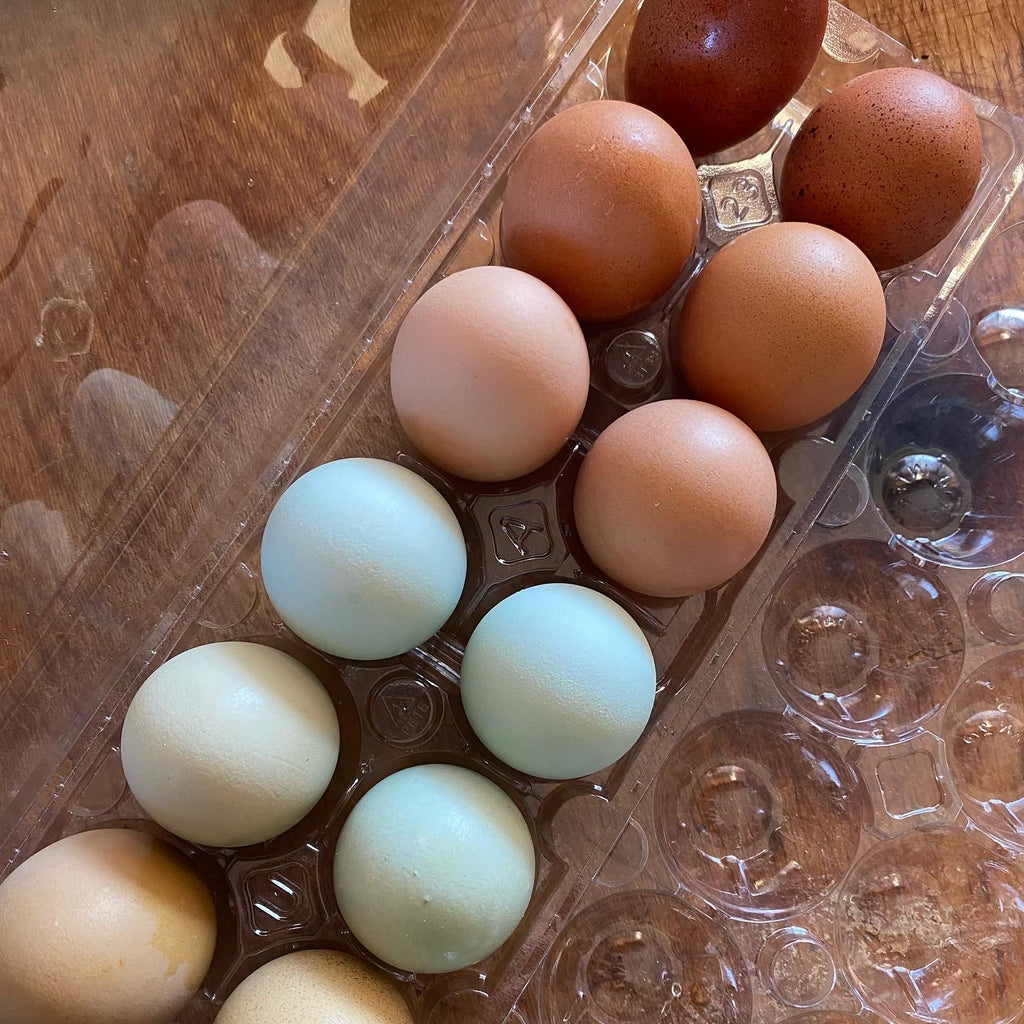 Eggs