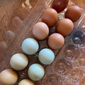 Eggs