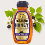 Raw Honey Trio Gift Set | Blackberry, Orange Blossom & Tupelo