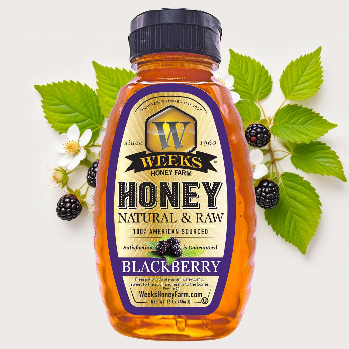 Raw Honey Trio Gift Set | Blackberry, Orange Blossom & Tupelo