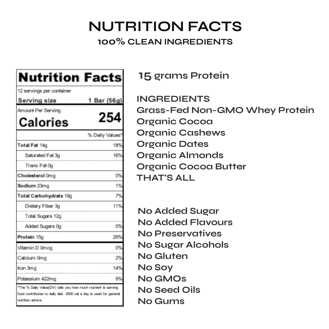 Chocolate Protein Bar