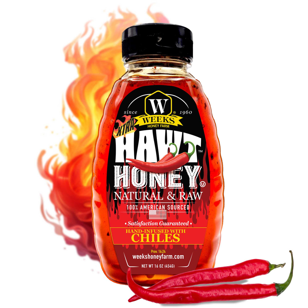 Raw Honey Trio Gift Set: Hawt, Buckwheat & Palmetto