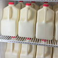 Gallon A2 Raw Milk