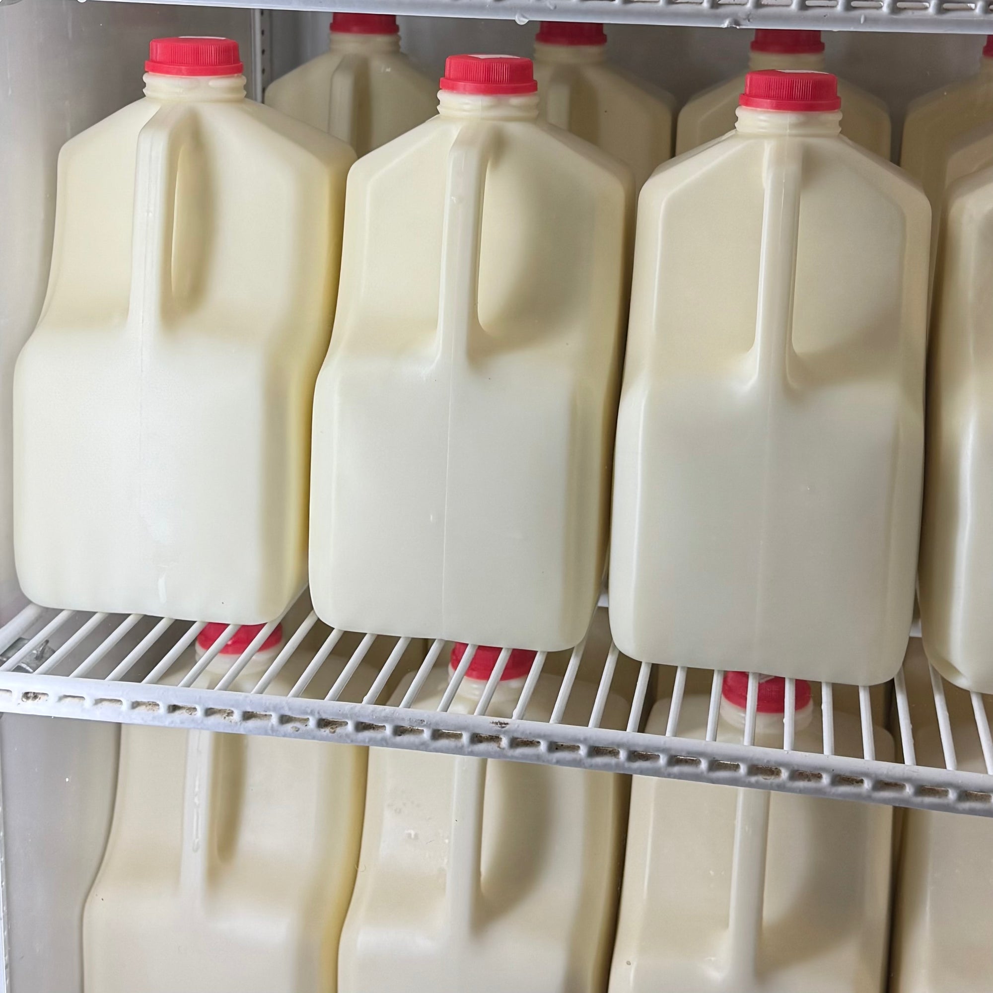 Gallon A2 Raw Milk
