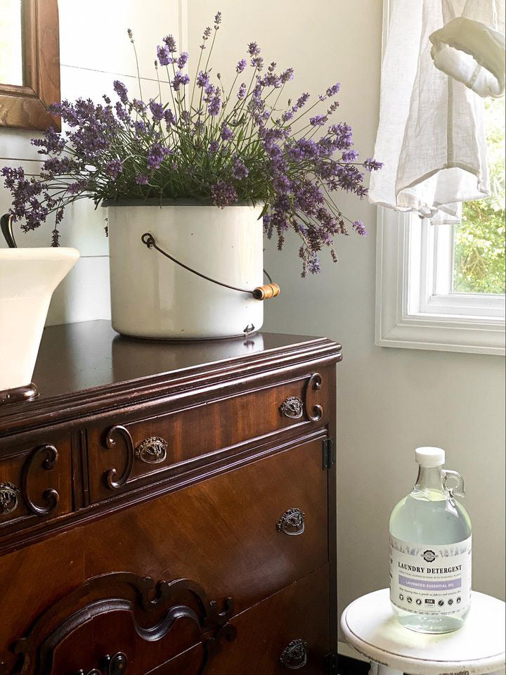 Laundry Detergent | Unscented