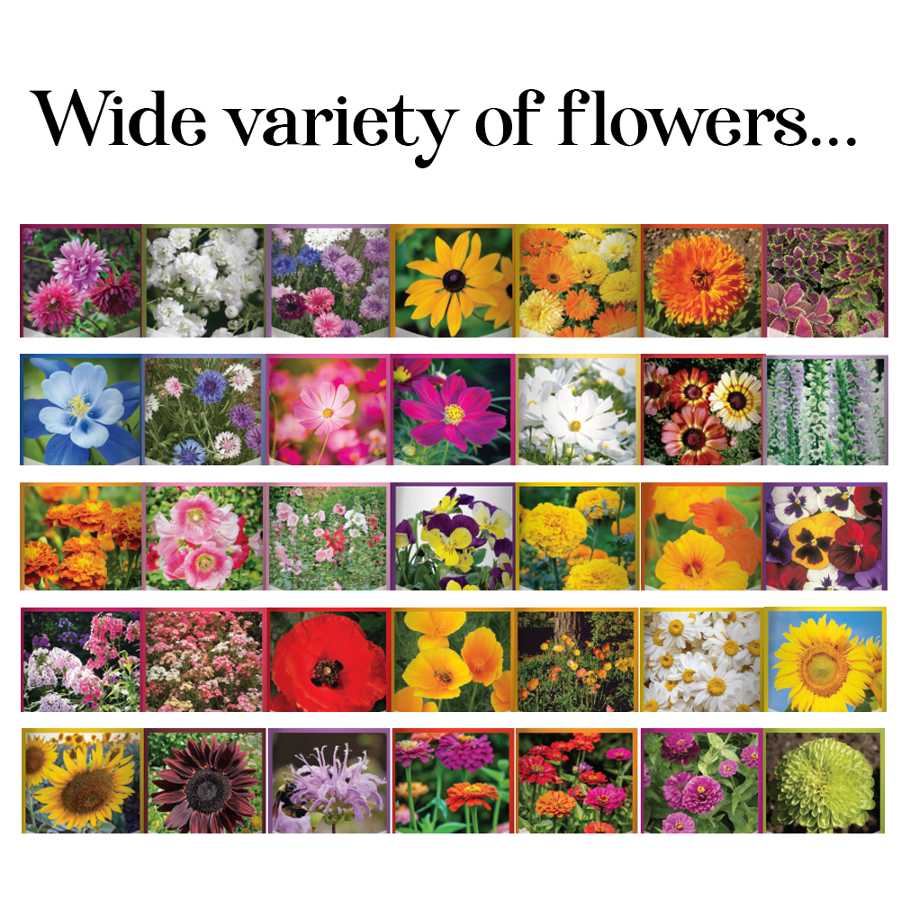 Wildflower, Perennial, & Annual Flower Seed Kit | 35 Variety Pack