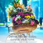 Wildflower, Perennial, & Annual Flower Seed Kit | 35 Variety Pack