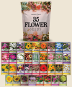 Wildflower, Perennial, & Annual Flower Seed Kit | 35 Variety Pack
