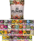 Wildflower, Perennial, & Annual Flower Seed Kit | 35 Variety Pack