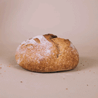 Heritage Whole Wheat Bread Blend