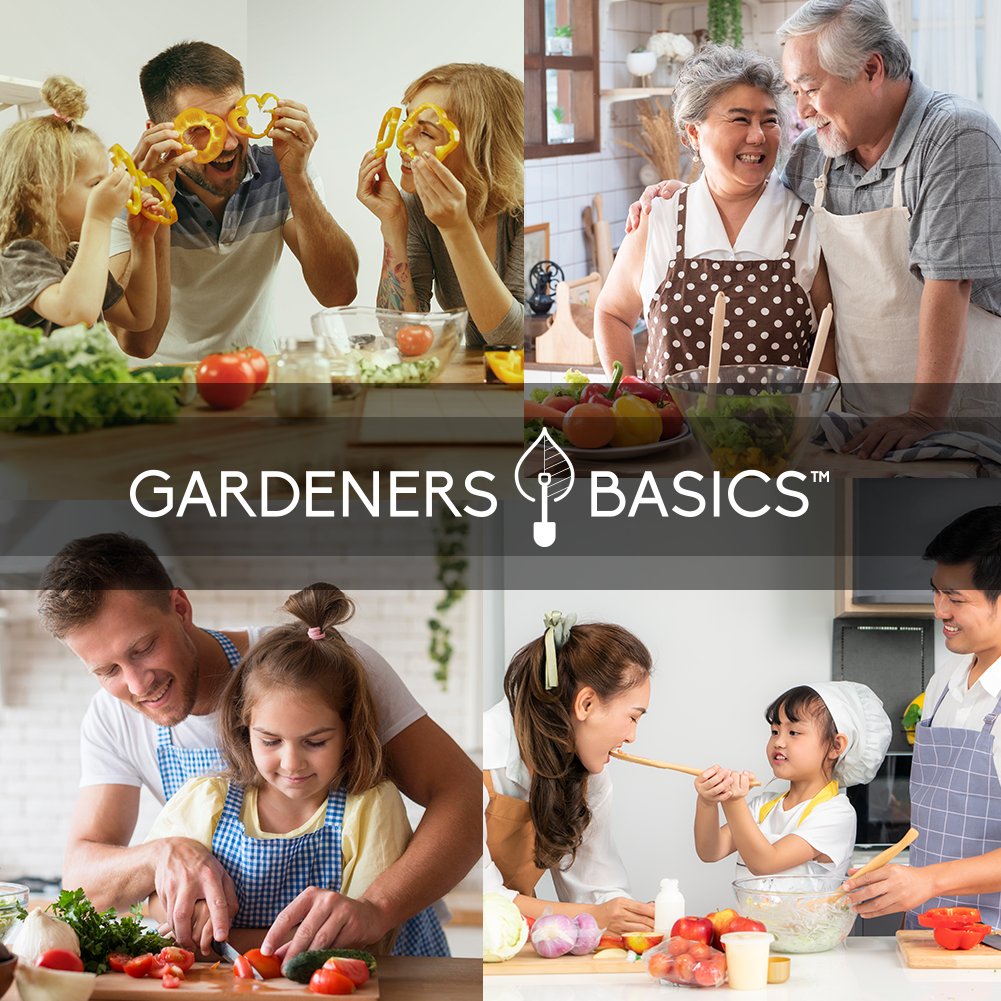 Vegetable Seed Vault Kit | 35 Variety Pack