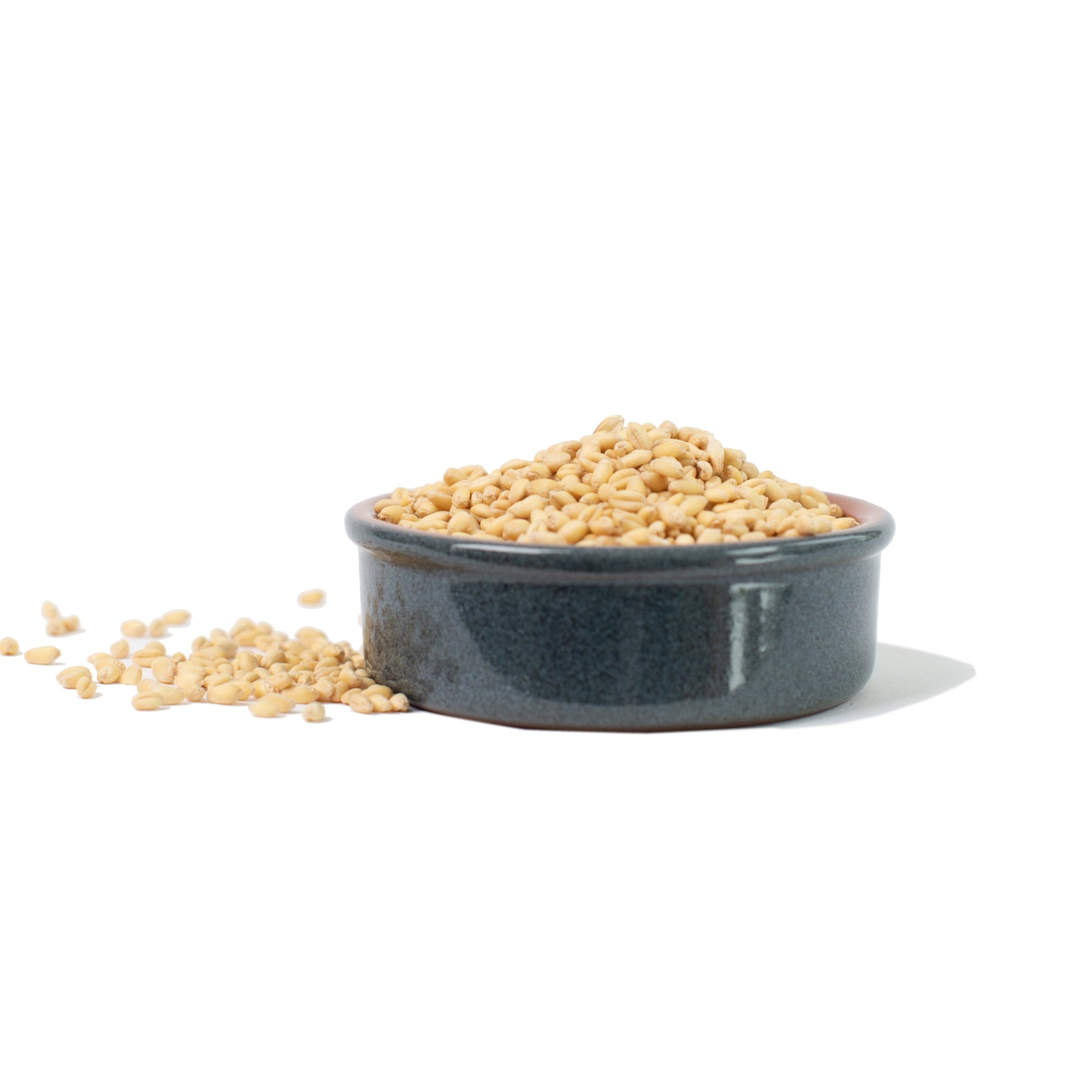 White Sonora Heritage Wheat Berries