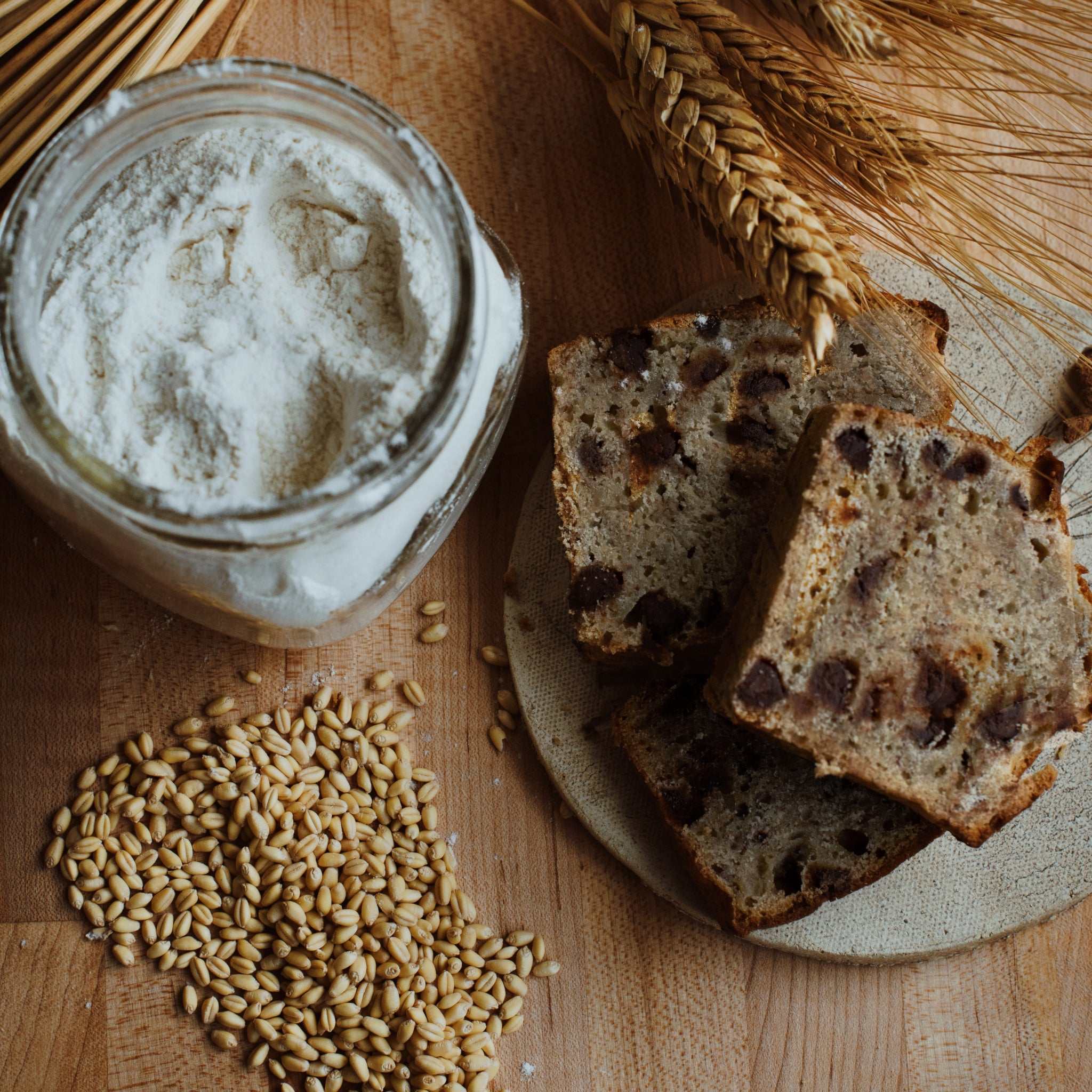 White Sonora Heritage Wheat Berries