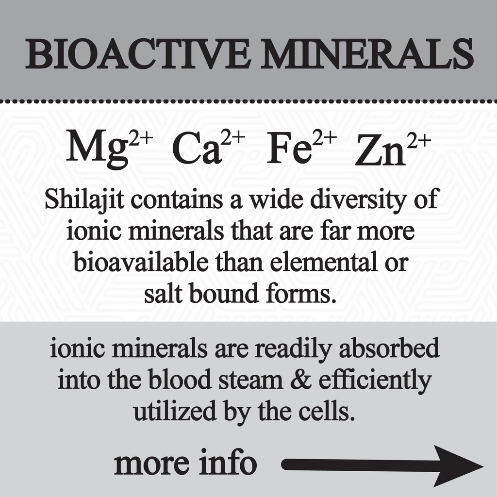 shilajit glycerite (60ml)