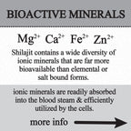 shilajit glycerite (60ml)