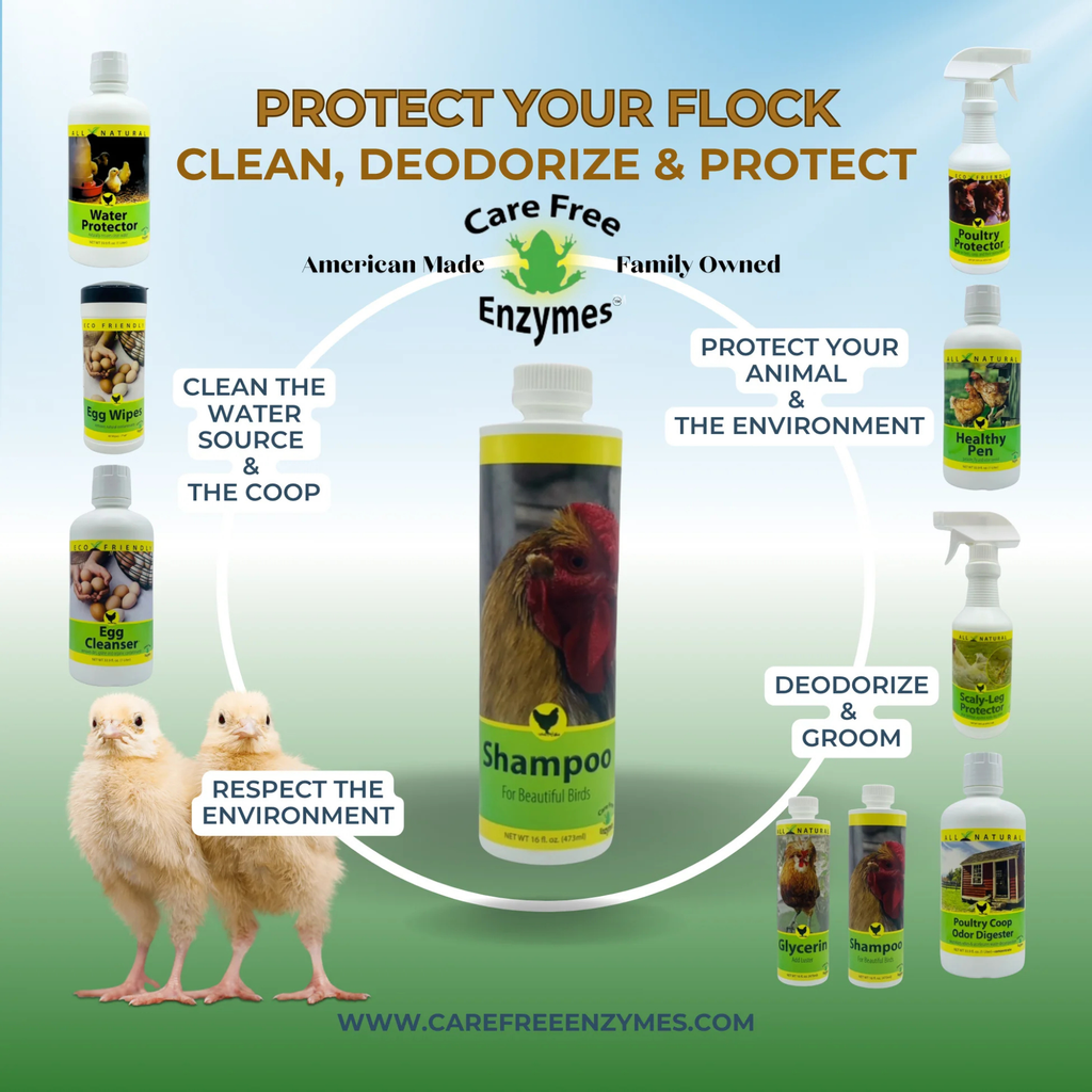 Gentle Poultry Shampoo for Show Chickens, 16 oz