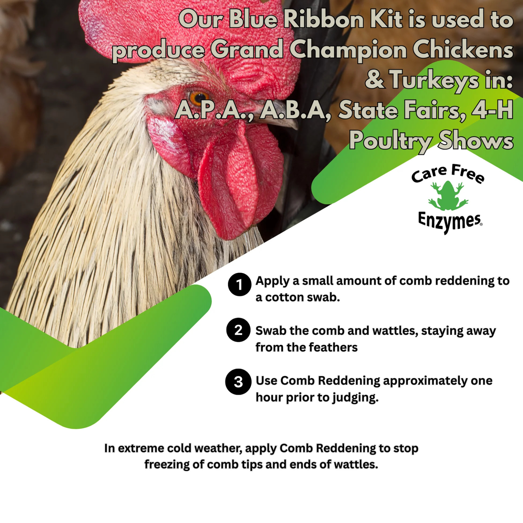 Comb & Wattle Reddening Ointment for Show Chickens, 2.5 oz