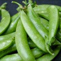 Snap Pea Seeds - Sugar Snap