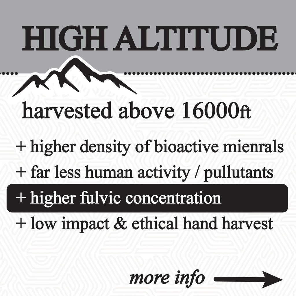 shilajit glycerite (60ml)