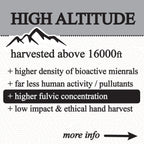 shilajit glycerite (60ml)
