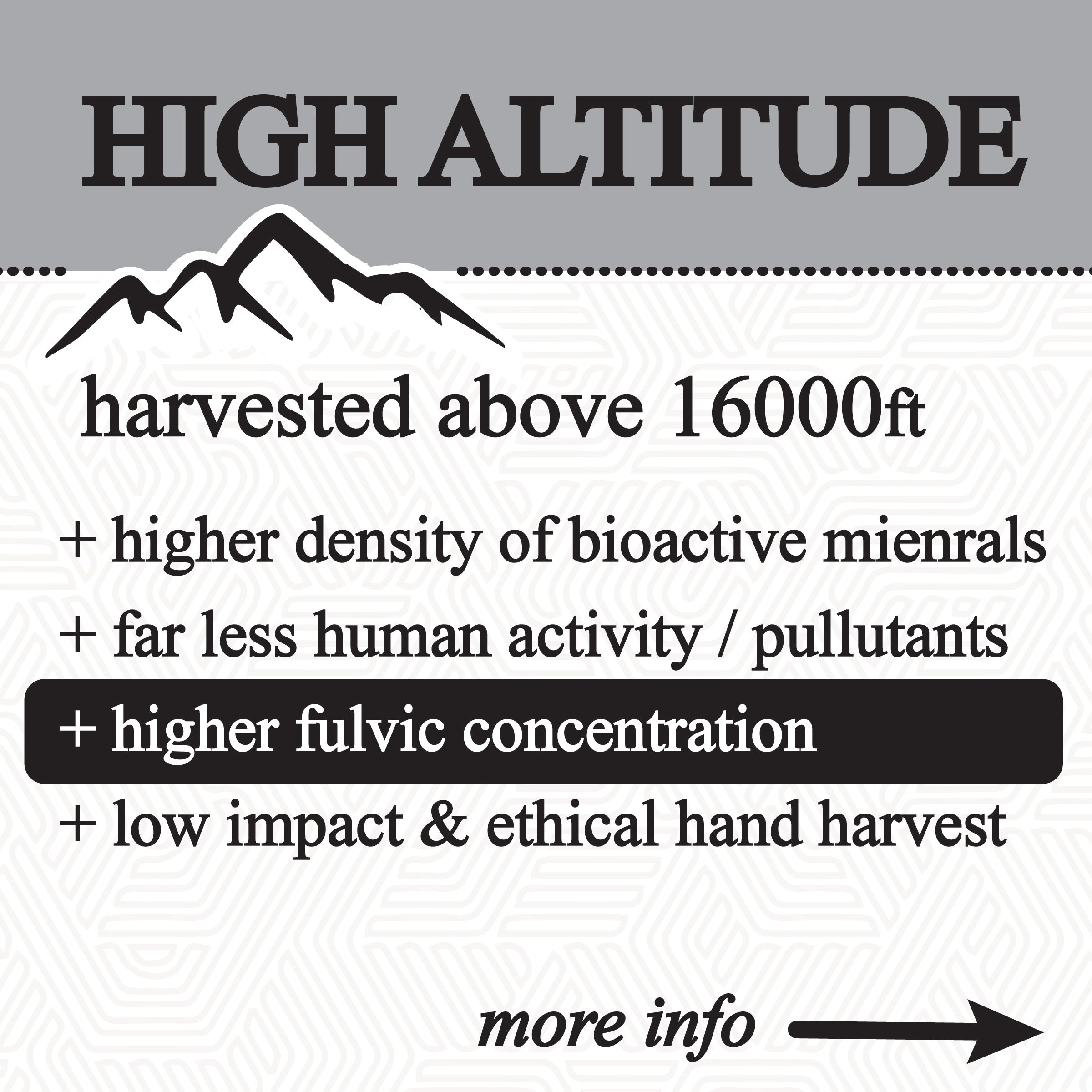 shilajit glycerite (60ml)