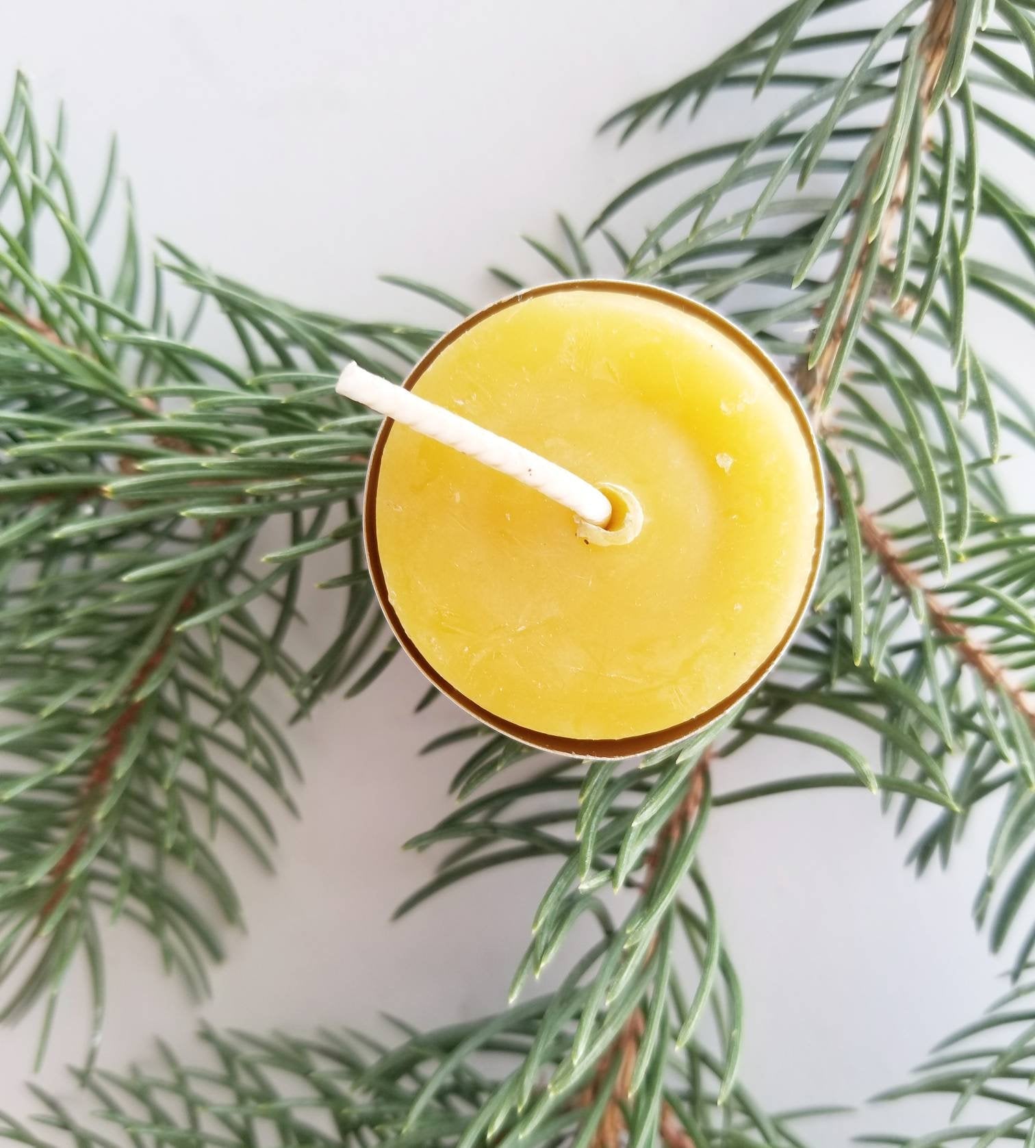 Classic Tea Lights - 6 or 24 pack | Beeswax Candles
