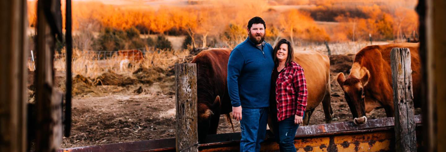 Two people standing in a barn with cows in an open field during sunset.