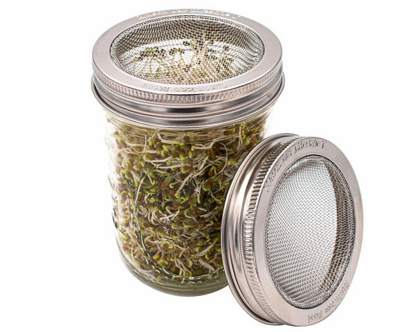 Curved Rust Proof Sprouting Lid and Band for Mason Jars