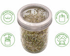 Curved Rust Proof Sprouting Lid and Band for Mason Jars