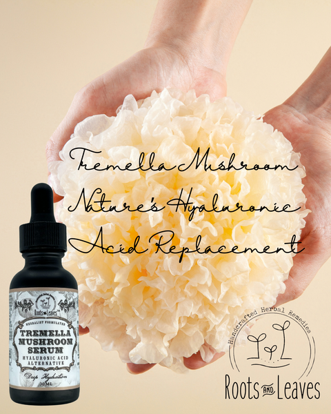 Tremella Mushroom Serum - All Natural Hyaluronic Acid Alternative