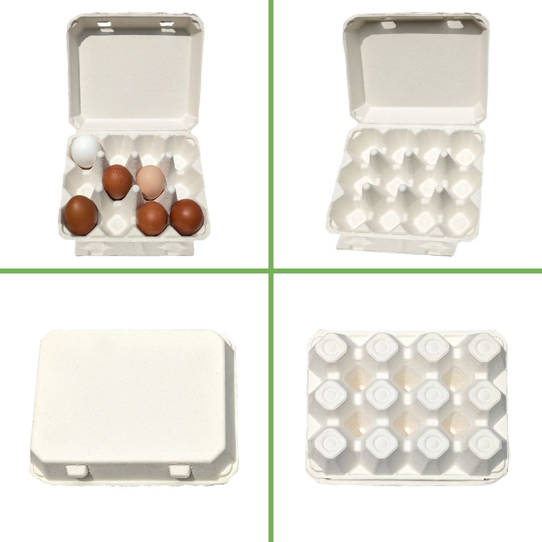 Henlay Vintage Blank Egg Cartons, Classic 3x4 Design, 2 Colors, 25, 65, 75, or 200 Pack