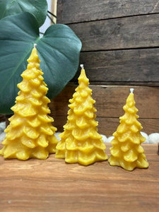 Beeswax Tree Candle: Large